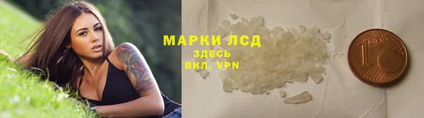 гашик Новодвинск