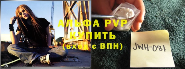 прущие крисы Нея