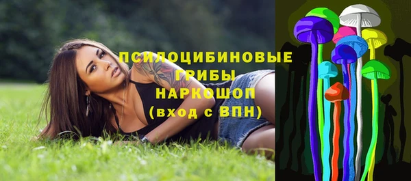 круглые Новозыбков