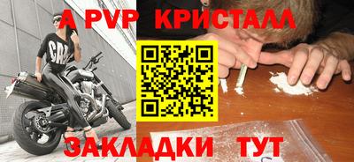 стафф Дубна