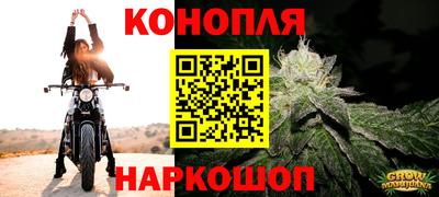 стафф Дубна
