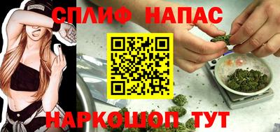 Альфа ПВП Донецк