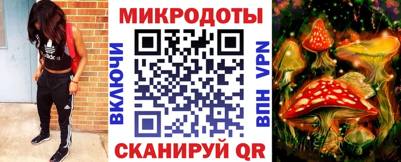 Псилоцибиновые грибы Psilocybe  Кизилюрт 