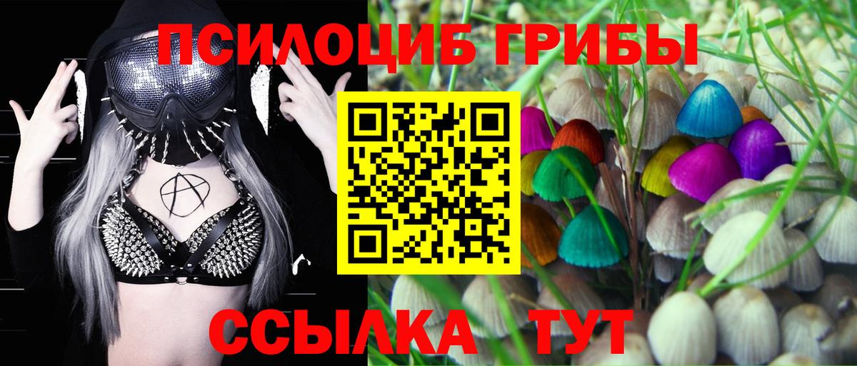 как найти наркотики  Кизилюрт  Псилоцибиновые грибы Psilocybine cubensis  Псилоцибиновые грибы мухоморы 