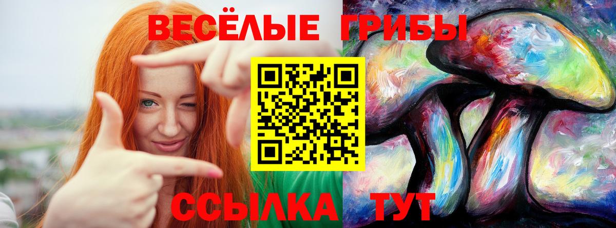 Галлюциногенные грибы ЛСД Кизилюрт