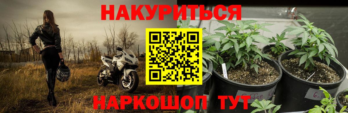 МАРИХУАНА OG Kush  Кизилюрт  Марихуана тримм  Шишки марихуана White Widow 