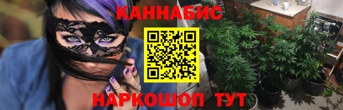 Конопля гибрид Кизилюрт